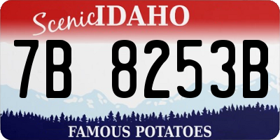 ID license plate 7B8253B