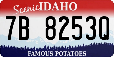 ID license plate 7B8253Q