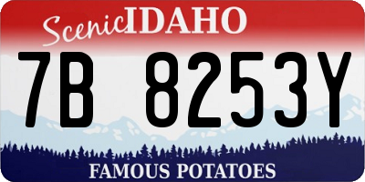 ID license plate 7B8253Y