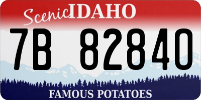 ID license plate 7B8284O