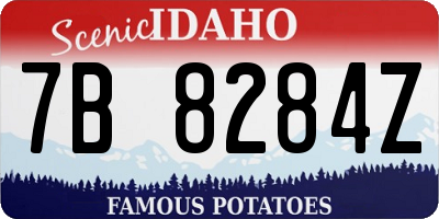 ID license plate 7B8284Z