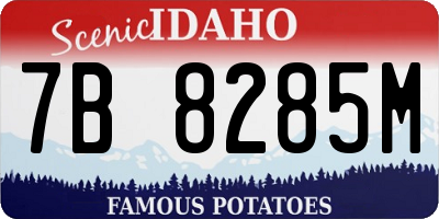 ID license plate 7B8285M