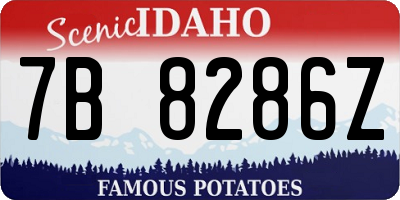 ID license plate 7B8286Z
