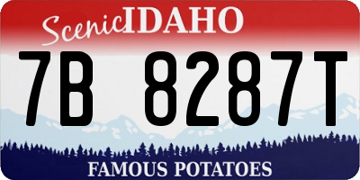 ID license plate 7B8287T
