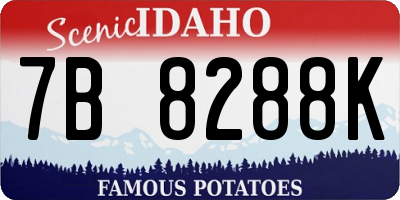 ID license plate 7B8288K