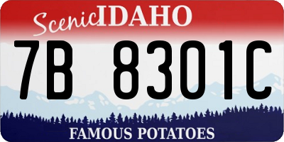 ID license plate 7B8301C