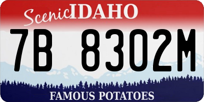 ID license plate 7B8302M