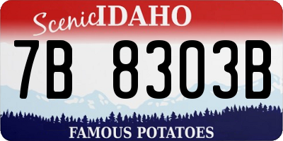 ID license plate 7B8303B