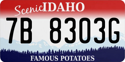 ID license plate 7B8303G