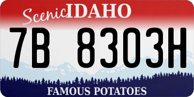ID license plate 7B8303H