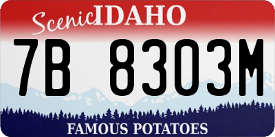 ID license plate 7B8303M