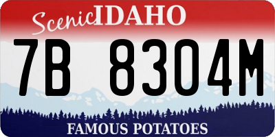 ID license plate 7B8304M
