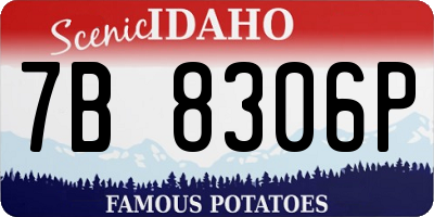 ID license plate 7B8306P