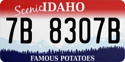 ID license plate 7B8307B