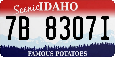 ID license plate 7B8307I