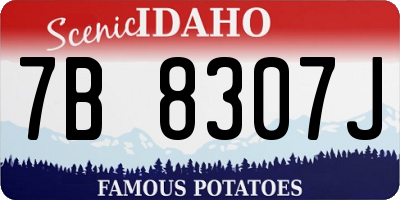ID license plate 7B8307J