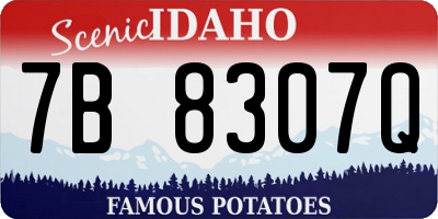 ID license plate 7B8307Q