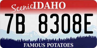ID license plate 7B8308E