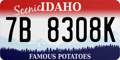 ID license plate 7B8308K
