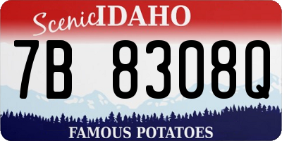 ID license plate 7B8308Q