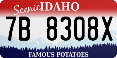 ID license plate 7B8308X