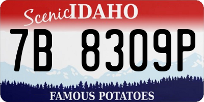 ID license plate 7B8309P