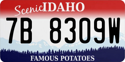 ID license plate 7B8309W