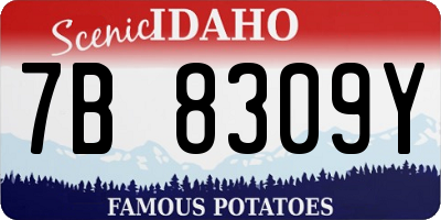 ID license plate 7B8309Y