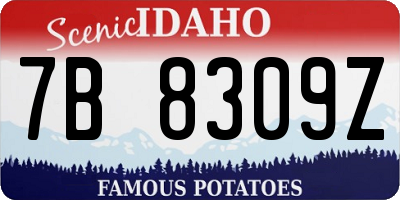 ID license plate 7B8309Z