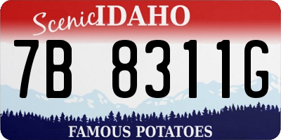 ID license plate 7B8311G