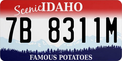 ID license plate 7B8311M