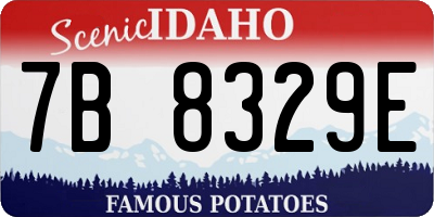 ID license plate 7B8329E