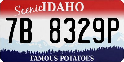 ID license plate 7B8329P
