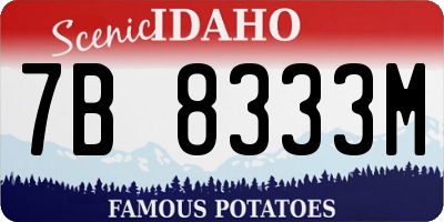 ID license plate 7B8333M