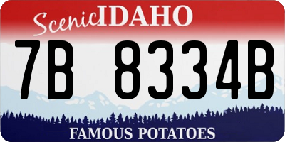 ID license plate 7B8334B