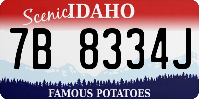 ID license plate 7B8334J