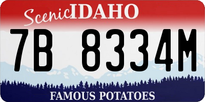 ID license plate 7B8334M
