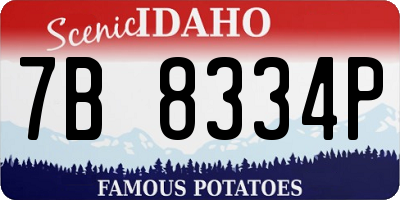 ID license plate 7B8334P