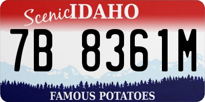 ID license plate 7B8361M