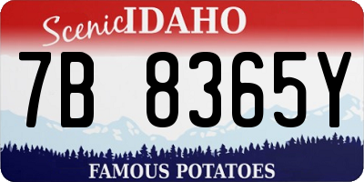 ID license plate 7B8365Y