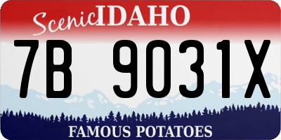 ID license plate 7B9031X