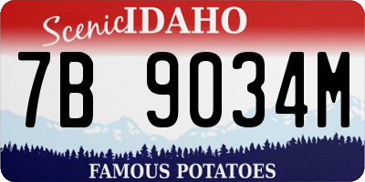 ID license plate 7B9034M