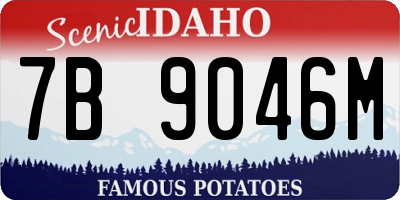 ID license plate 7B9046M