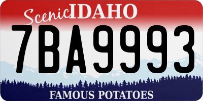 ID license plate 7BA9993