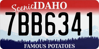 ID license plate 7BB6341