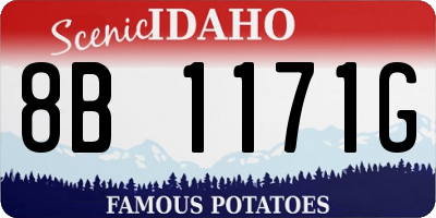 ID license plate 8B1171G
