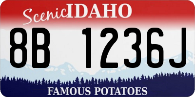 ID license plate 8B1236J