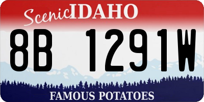 ID license plate 8B1291W