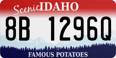 ID license plate 8B1296Q