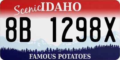 ID license plate 8B1298X